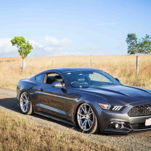 MUSTANG_ZF2