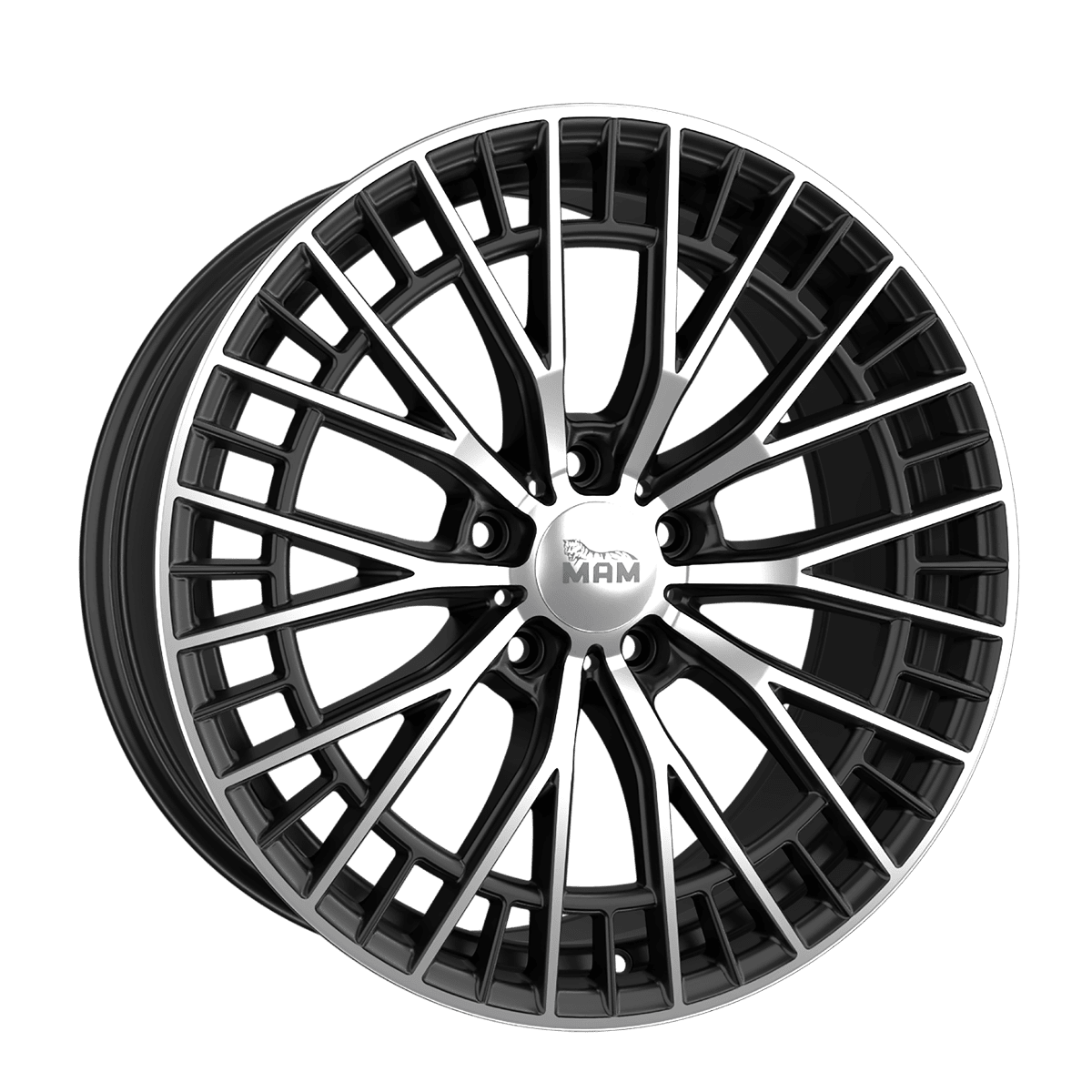 mam-GT2