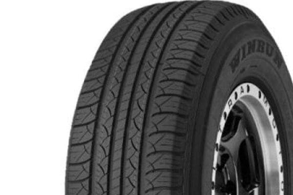 WINRUN MAXCLAW H/ W-SILENT EV T2 235/60 R18 107V XL